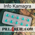 Kamagra Info 28